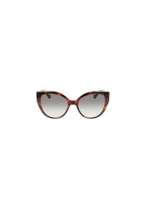 Liu Jo Brown Bio Injected Sunglass