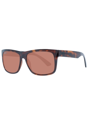 Brown Unisex Sunglasses