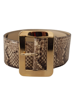 Dolce & Gabbana Brown Exotic Wide Waist Leather Gold Metal Buckle Belt - 65 cm / 26 Inches