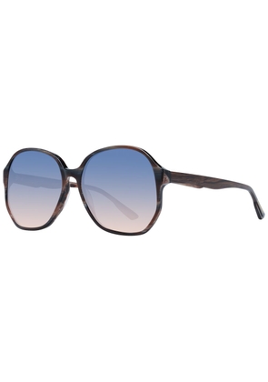 Brown Women Sunglasses