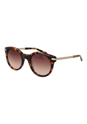 Brown Women Sunglasses