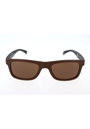 Brown Acetate Sunglasses
