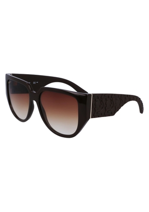 Brown Bio Injected Sunglasses