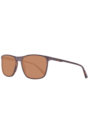 Brown Plastic Sunglasses