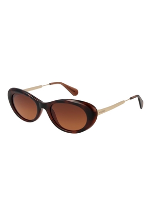 Brown Women Sunglasses