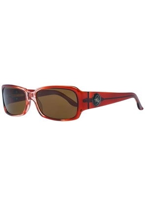 Brown Plastic Sunglasses