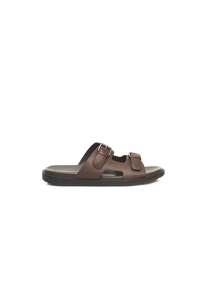 Cerruti 1881 Brown Cowhide Sandal - EU40/US7