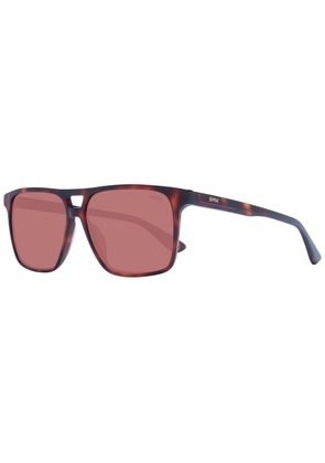 Brown Men Sunglasses