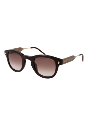 Lozza Brown Cellulose Acetate Sunglasses