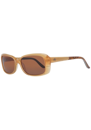 Brown Women Sunglasses