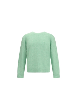 Sunflower Bicolor Alpaca Vicugna Pacos Sweatshirt - XL