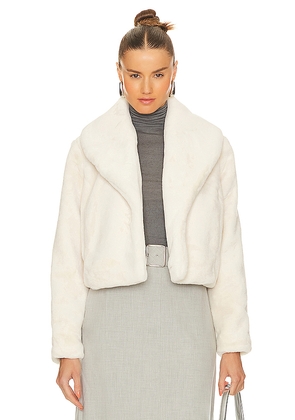 BLANKNYC Faux Fur Jacket in White. Size M. Also in L.