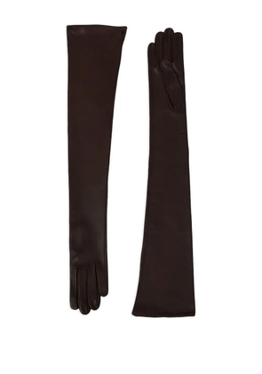 Petar Petrov Opera long gloves - Brown
