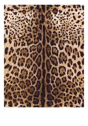 Dolce & Gabbana leopard-print wallpaper - Brown