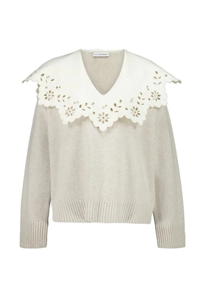 Altuzarra Toro V-neck sweater - Neutrals