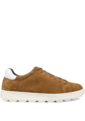 Geox Spherica™ ECUB-1 suede lace-up sneakers - Brown