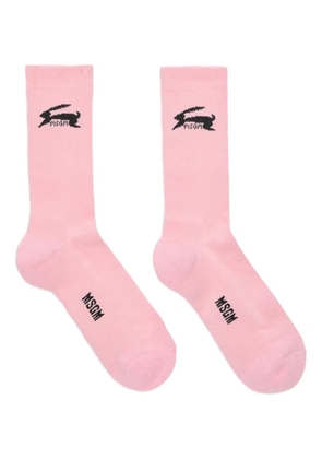 MSGM rabbit-logo socks - Pink
