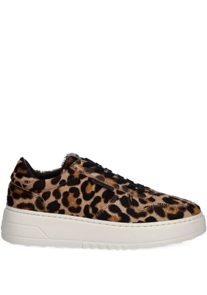 Copenhagen leopard-print sneakers - Brown