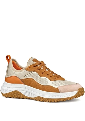 Geox Oliveira sneakers - Neutrals