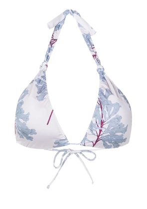 Clube Bossa Rings triangle bikini top - Blue