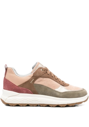 Geox Spherica 4x4 sneakers - Brown