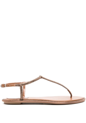 René Caovilla Diana sandals - Brown