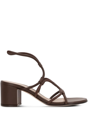Gianvito Rossi multi-strap sandals - Brown
