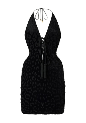 Roberto Cavalli jaguar skin pattern mini dress - Black