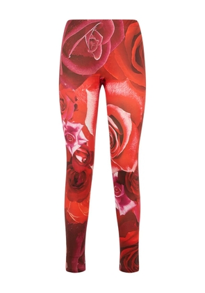 Roberto Cavalli Garden Rose-print leggings - Red