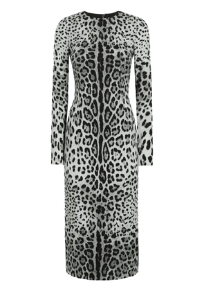 Dolce & Gabbana leopard-print dress - Grey