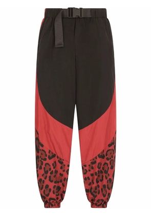 Dolce & Gabbana panelled leopard-print trousers - Black