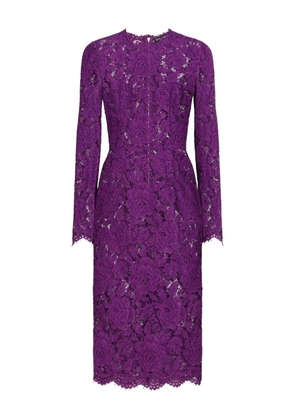 Dolce & Gabbana DNA Cordonetto lace dress - Purple