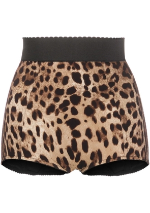 Dolce & Gabbana leopard-print high-waisted briefs - Brown