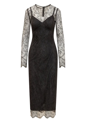 Dolce & Gabbana semi-sheer lace midi dress - Black