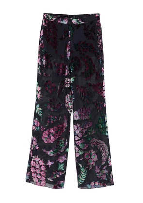 ETRO floral-print velvet pants - Black