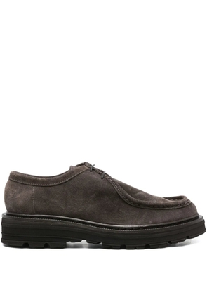 sturlini firenze suede derby shoes - Brown