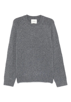 Lisa Yang Anine D crew-neck sweater - Grey