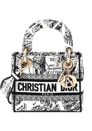Christian Dior Pre-Owned Lady D-Lite Bag Embroidered Canvas Mini satchel - Black