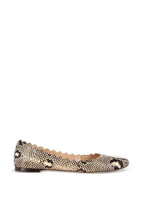Chloé Vintage scalloped animal-print ballet flats - Neutrals