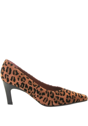 Roberto Festa 70mm leopard-print suede pumps - Brown