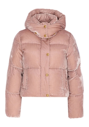 Elisabetta Franchi velvet puffer jacket - Pink