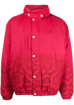 ICECREAM snakeskin-print padded jacket - Pink