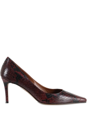 Roberto Festa 75mm pointed pumps - Brown