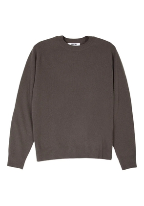 Grifoni crew-neck sweater - Brown