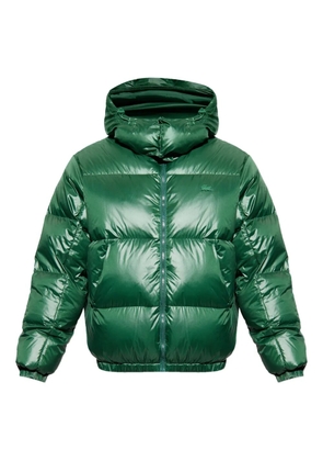 Lacoste hooded padded jacket - Green