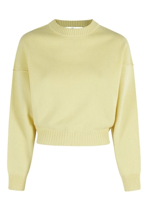 Tela ribbed-trim sweater - Yellow