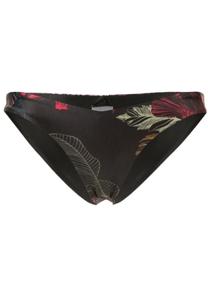 Duskii Fleur deep V bikini bottoms - Multicolour
