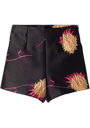 La DoubleJ Margarita shorts - Black