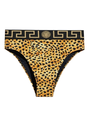 Versace greek-key leopard-print bikini bottom - Brown