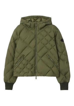 Burberry Delley check-stitch hooded puffer jacket - Green
